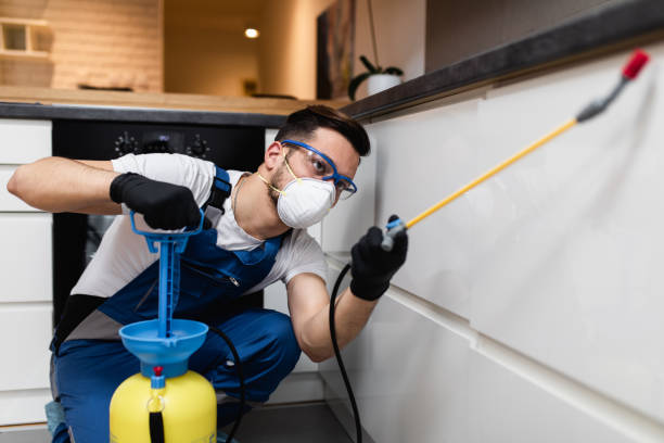 Best Termite Control Services  in Fourche Crossing, LA