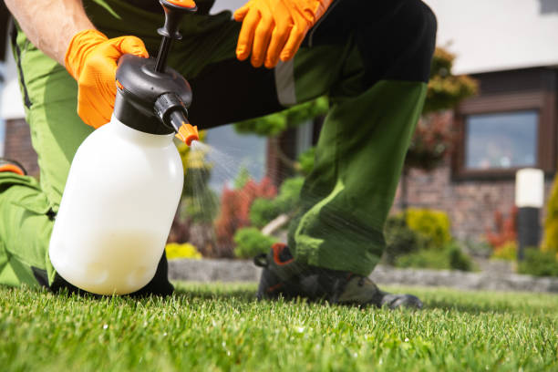 Best Wasp Removal Services  in Fourche Crossing, LA