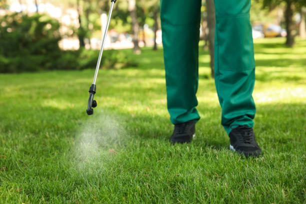 Flea Control Services in Lafourche Crossing, LA