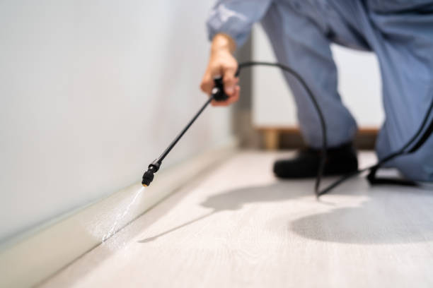 Best Flea Control Services  in Fourche Crossing, LA