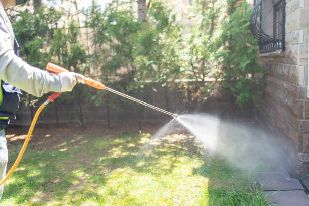 Bird Control in Lafourche Crossing, LA