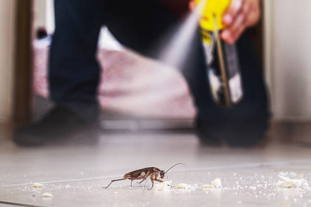 Professional Pest Control in Lafourche Crossing, LA