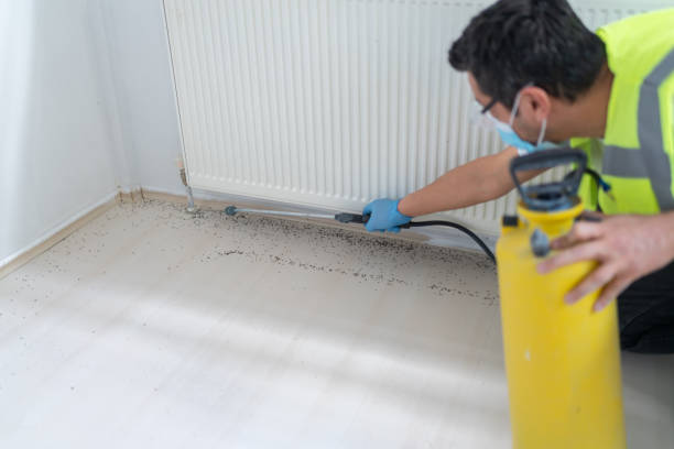 Best Pest Control Near Me  in Fourche Crossing, LA