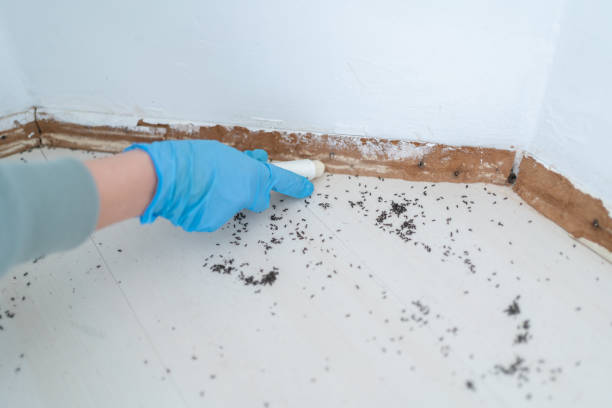 Best Pest Removal Services  in Fourche Crossing, LA